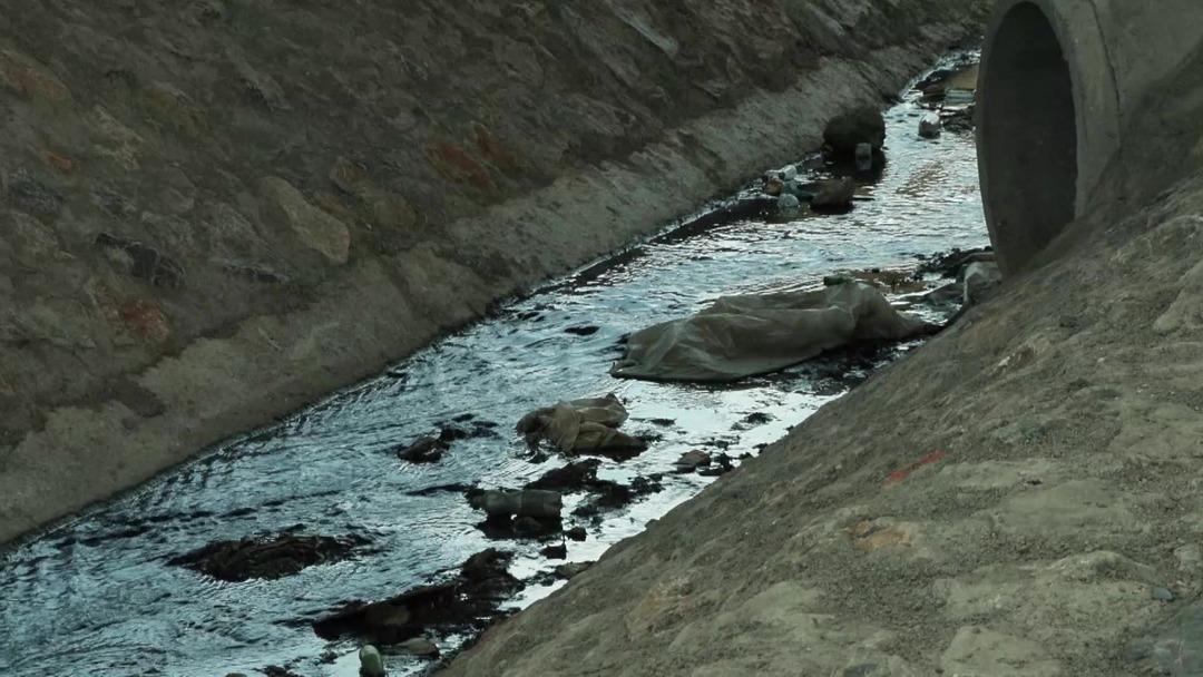 İstanbul un içme suyu tehdit altında: Su içip, ölen hayvanlar var! 2