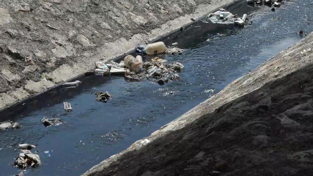 İstanbul un içme suyu tehdit altında: Su içip, ölen hayvanlar var! 1