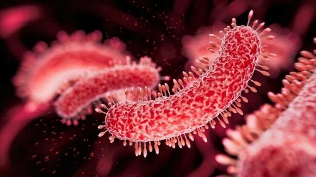  "Et yiyen bakteri" alarmı: Açık yaradan vücuda giriyor! 9 kişi öldü... 1