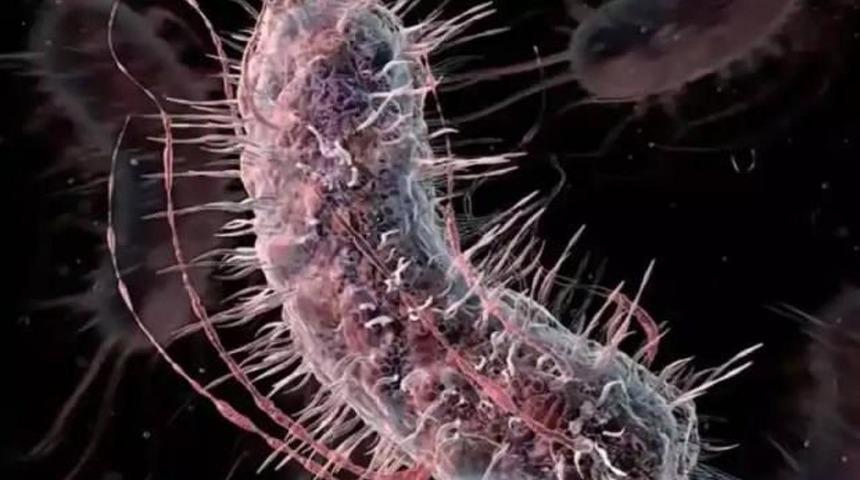  "Et yiyen bakteri" alarmı: Açık yaradan vücuda giriyor! 9 kişi öldü...