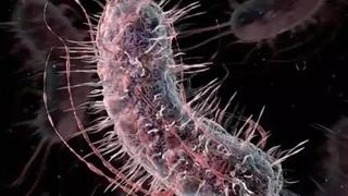  Et yiyen bakteri alarmı: Açık yaradan vücuda giriyor! 9 kişi öldü...