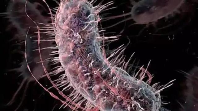  Et yiyen bakteri alarmı: Açık yaradan vücuda giriyor! 9 kişi öldü...