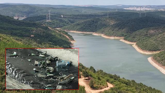 İstanbul'un içme suyu tehdit altında: Su içip, ölen hayvanlar var!