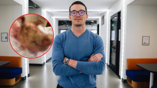 CEO'ya kesik domuz başı gönderdiler! Tehdit mektubu eklediler: Domuzlar semirir, obur olanları kesilir