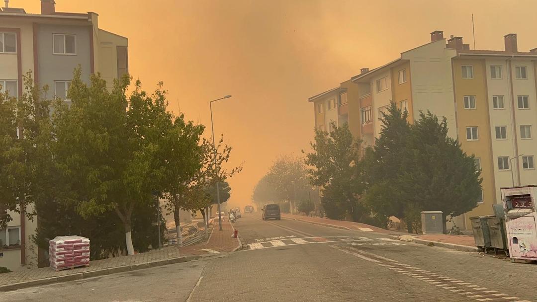 Son dakika: Çanakkale de orman yangını! Şehir dumanlar altında kaldı... Üniversite, köyler ve hastane tahliye edildi; 4 kişi gözaltına alındı 5
