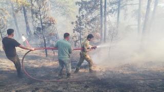 Kastamonu'da çıkan orman yangını kontrol altına alındı