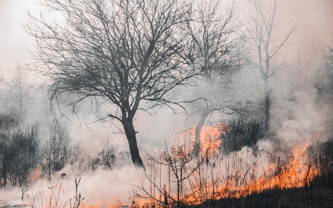 CVK Maden’den yangın açıklaması geldi 4