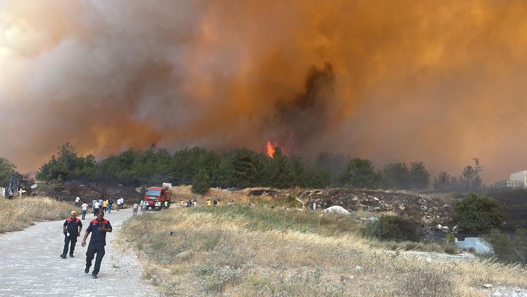 Çanakkale alevlere teslim olmuştu! Bakan Yumaklı son durumu paylaştı: "Büyük ölçüde kontrol altına alınmıştır" 1