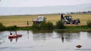 Ardahan Kura nehrine düşerek boğulan inek can verdi! Kepçe yardımıyla çıkartıldı