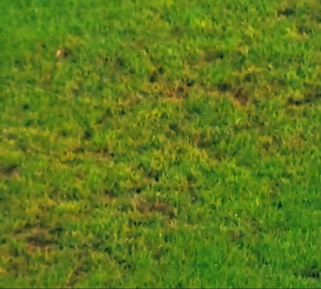 Gaziantep FK oyuncusu Salem M Bakata sezonu kapattı... Erman Toroğlu canlı yayında zemine isyan etti!  2