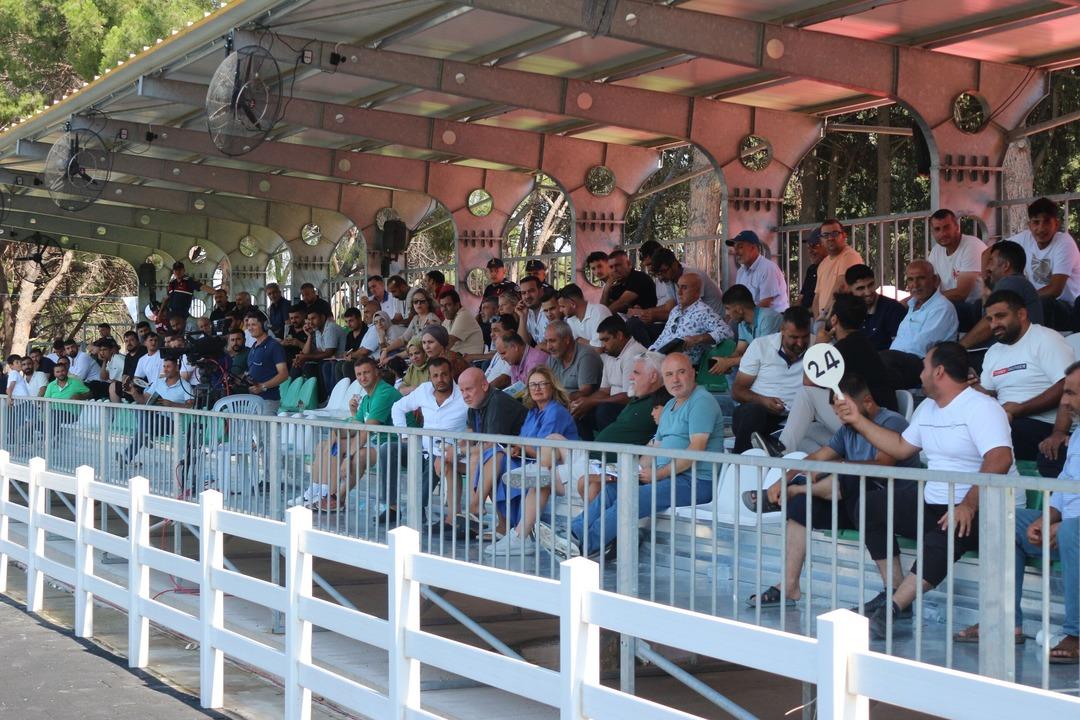 Koşu tayları ihaleye çıkarıldı! Fiyatlar dudak uçuklattı... 2