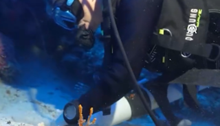 Yer: Kaş! Batıkta bulundu! Tam 1100 yıllık...