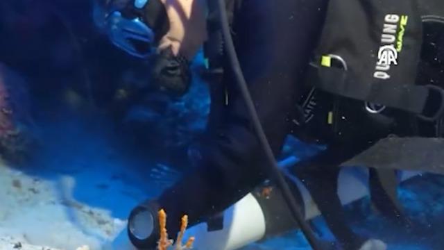 Yer: Kaş! Batıkta bulundu, 1100 yıllık koku şişeleri ortaya çıktı