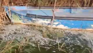 Manyas Gölü'nde ağlara ölü balıklar takıldı!