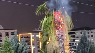 Parktaki palmiye ağacı ateşe verildi