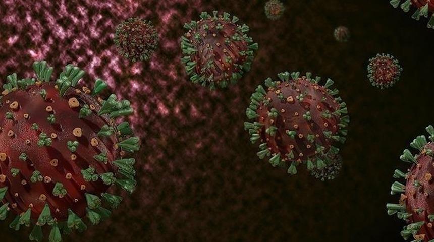 DSÖ: Afrika'da yaygın M çiçeği virüsüne karşı sürekli bulaşma riski nedeniyle hedefli aşılama şart