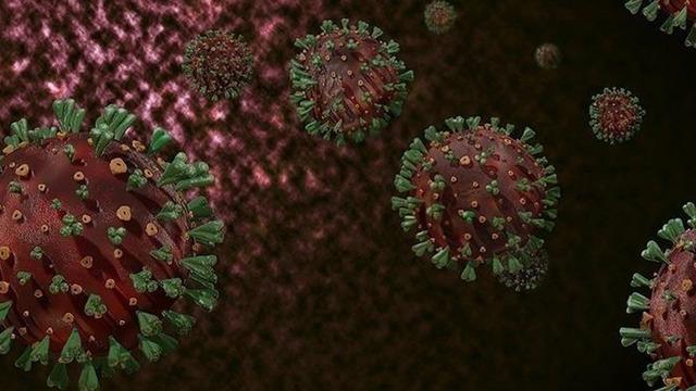 DSÖ: Afrika'da yaygın M çiçeği virüsüne karşı sürekli bulaşma riski nedeniyle hedefli aşılama şart