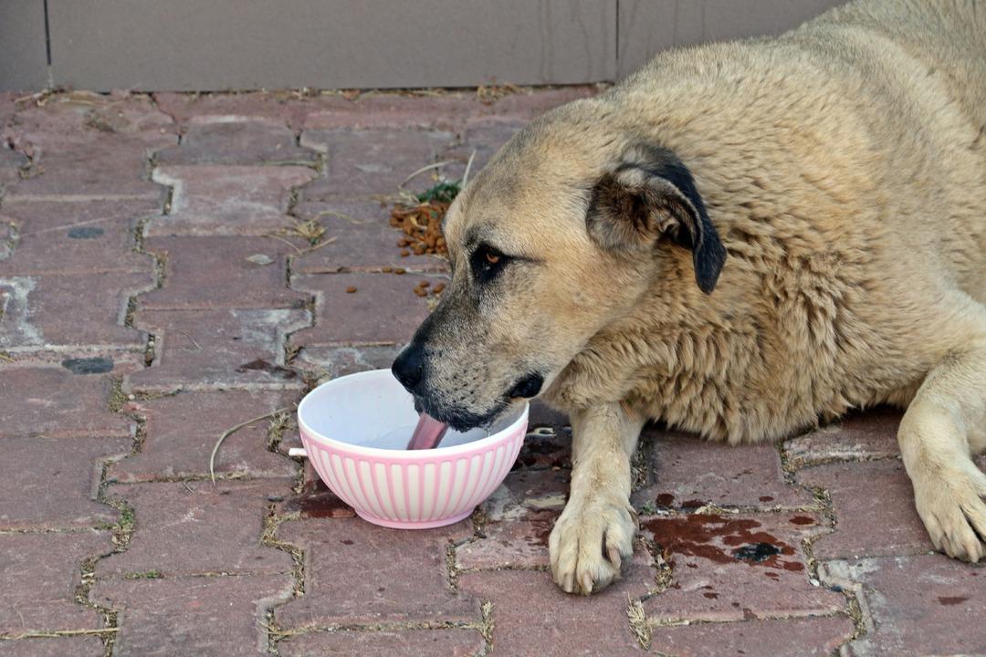 Antalya nın denizi bile yanıyor! Termometreler 45, deniz suyu 32 derece 1