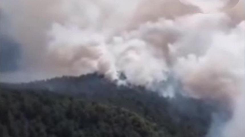 Sinop’ta orman yangını: Köy tahliye edildi