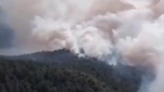 Sinop’ta orman yangını: Köy tahliye edildi