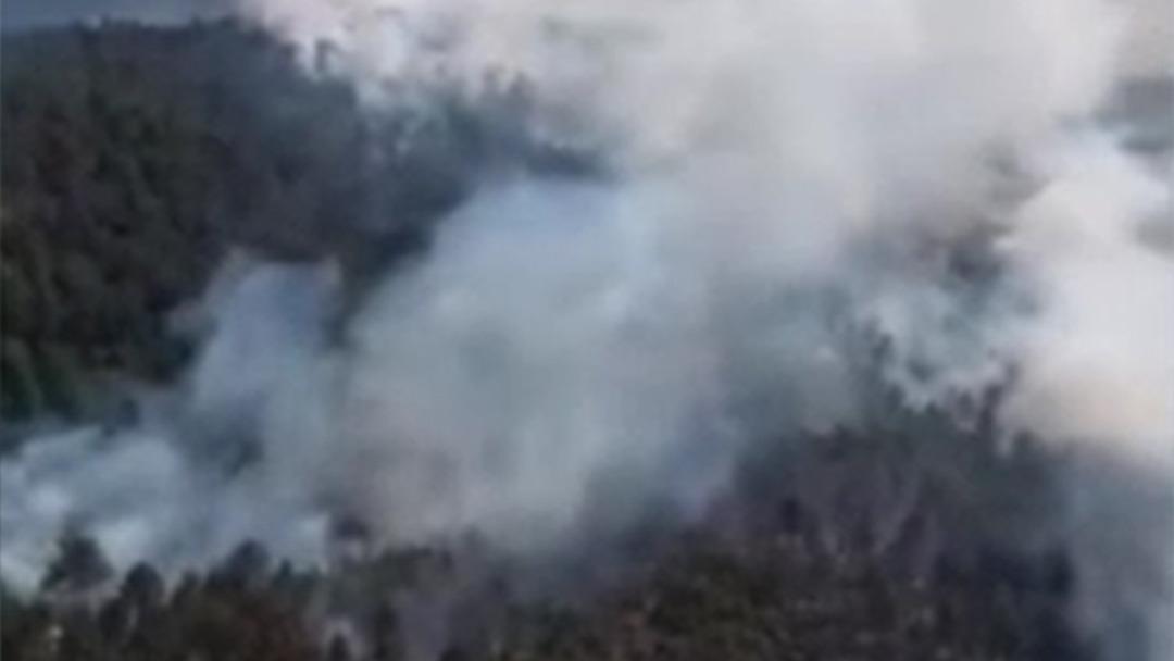 Sinop’ta orman yangını: Köy tahliye edildi 1