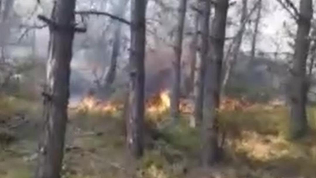 Sinop’ta orman yangını: Köy tahliye edildi 3
