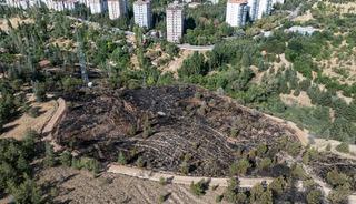 Ankara'da çalılık alanda çıkan yangın söndürüldü