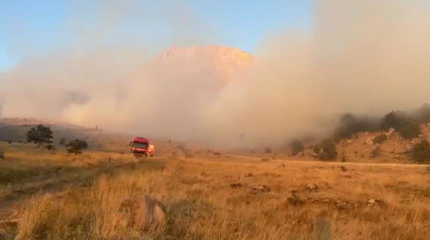 Aksaray’da ağaçlık alanda yangın