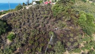 Giresun'da fındık bahçelerinde çıkan örtü yangını söndürüldü