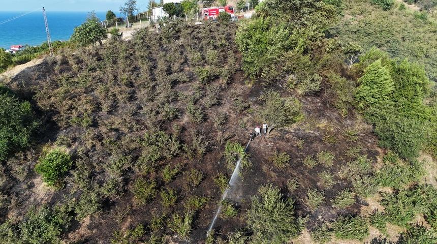 Giresun'da fındık bahçelerinde çıkan örtü yangını söndürüldü