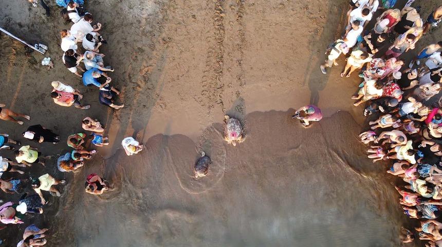 Uydu cihazıyla izleniyor! Caretta caretta "Tuba"  İztuzu kumsalından ikinci dünya turuna salındı