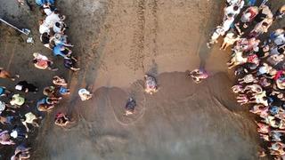 Uydu cihazıyla izleniyor! Caretta caretta Tuba  İztuzu kumsalından ikinci dünya turuna salındı