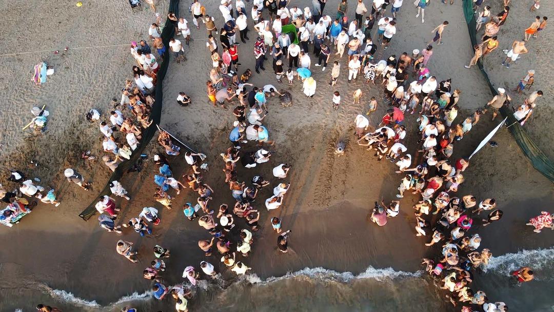 Uydu cihazıyla izleniyor! Caretta caretta "Tuba" İztuzu kumsalından ikinci dünya turuna salındı 2