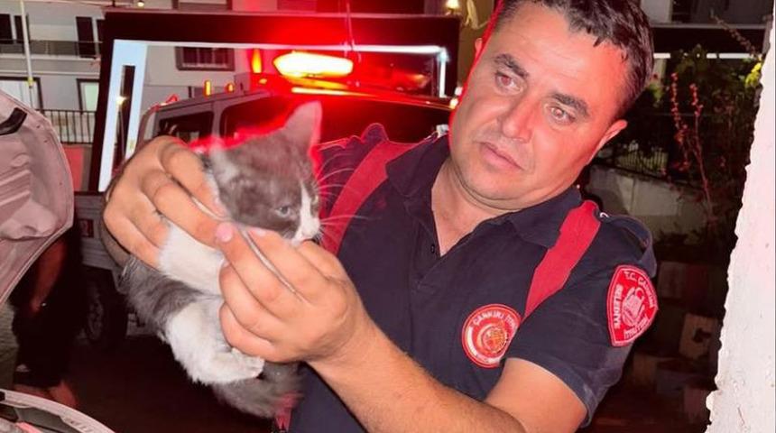 Otomobilin motor kısmına girerek sıkışan yavru kedi ekipleri seferber etti