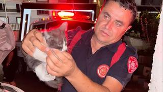 Otomobilin motor kısmına girerek sıkışan yavru kedi ekipleri seferber etti