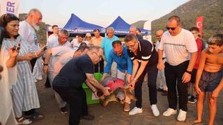 ‘Tuba’ya ikinci kez uydu takip cihazı takıldı