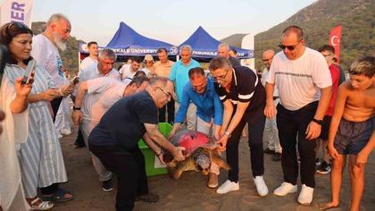 ‘Tuba’ya ikinci kez uydu takip cihazı takıldı