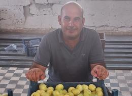 Dubai ve Almanya'ya da gönderiliyor! 'Fiyatlar üreticinin yüzünü güldürüyor'