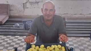 Dubai ve Almanya'ya da gönderiliyor! 'Fiyatlar üreticinin yüzünü güldürüyor'