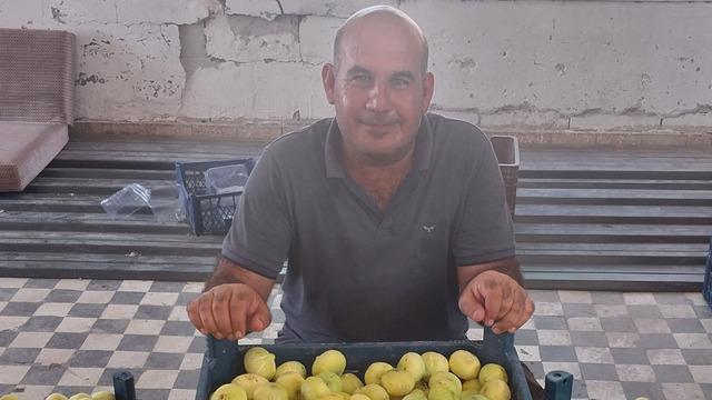 Dubai ve Almanya'ya da gönderiliyor! 'Fiyatlar üreticinin yüzünü güldürüyor'