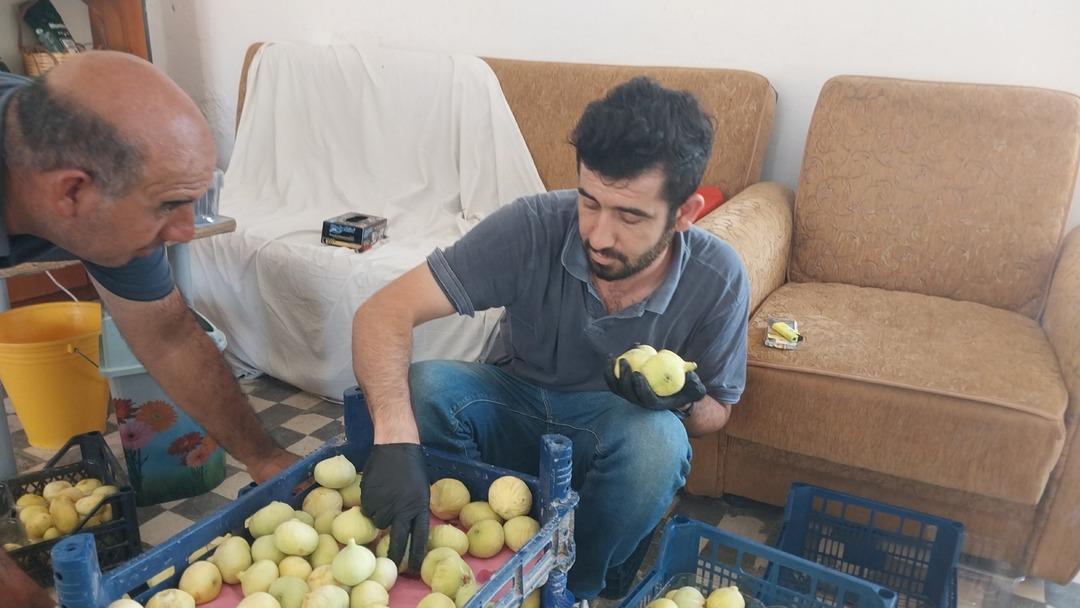 Dubai ve Almanya ya da gönderiliyor!  Fiyatlar üreticinin yüzünü güldürüyor  4