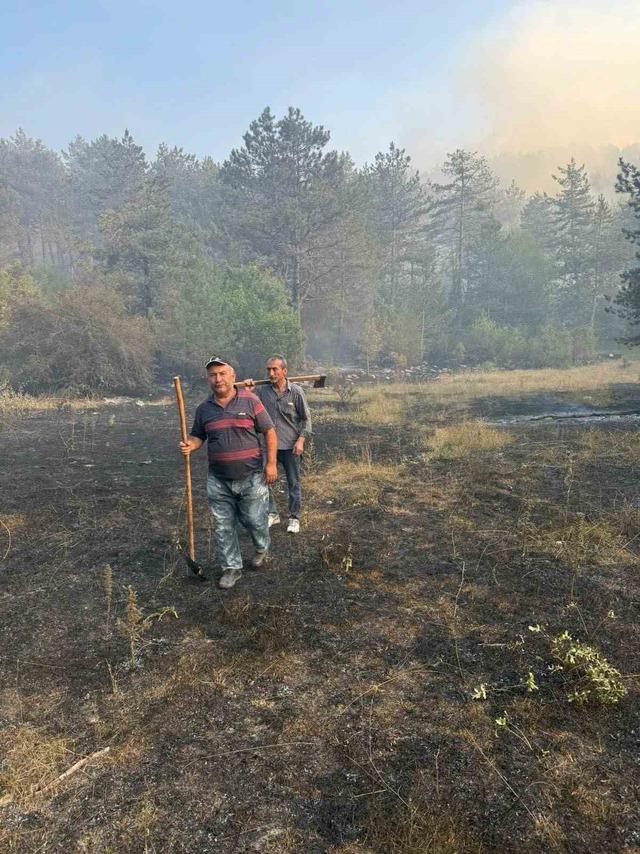 Sinop’taki orman yangını kontrol altına alındı 4