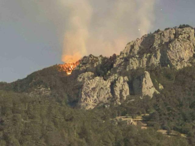 Sinop’taki orman yangını kontrol altına alındı 2