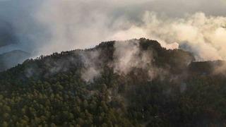 Sinop’taki orman yangını kontrol altına alındı