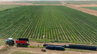 'Olmaz' denileni yaptı! Dinlenme tesisinde tanıştığı kişinin tavsiyesiyle başladı, satmadığı yer yok