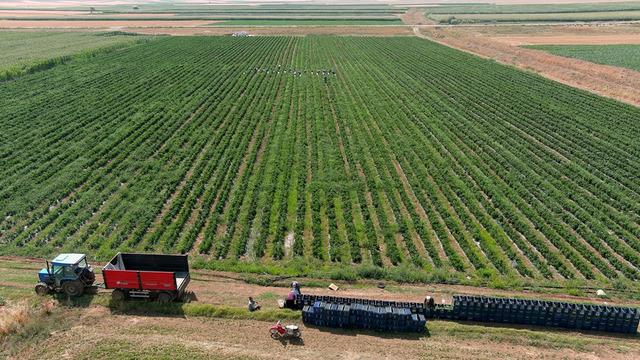 'Olmaz' denileni yaptı! Dinlenme tesisinde tanıştığı kişinin tavsiyesiyle başladı, satmadığı yer yok