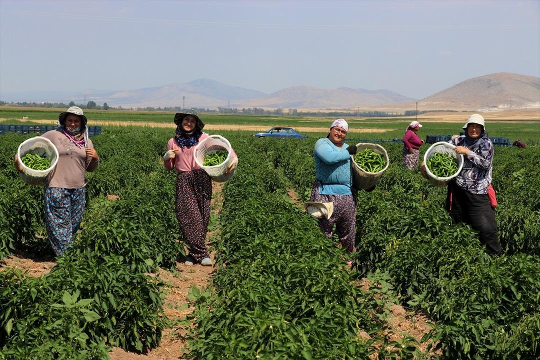 Olmaz  denileni yaptı! Dinlenme tesisinde tanıştığı kişinin tavsiyesiyle başladı, satmadığı yer yok 1