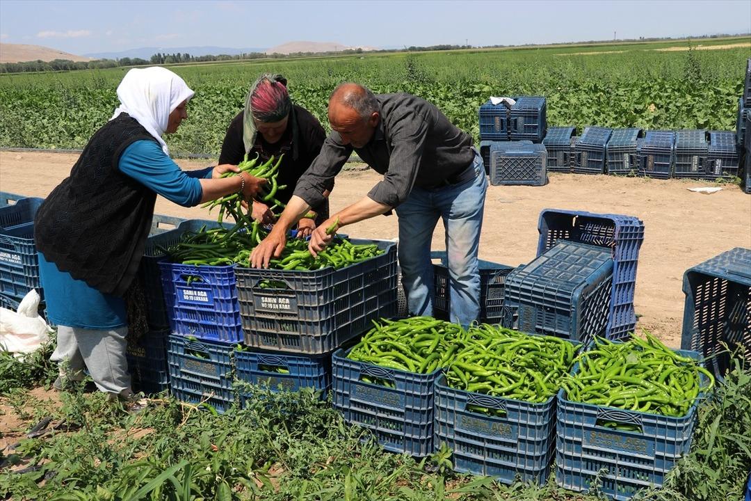  Olmaz  denileni yaptı! Dinlenme tesisinde tanıştığı kişinin tavsiyesiyle başladı, satmadığı yer yok 5