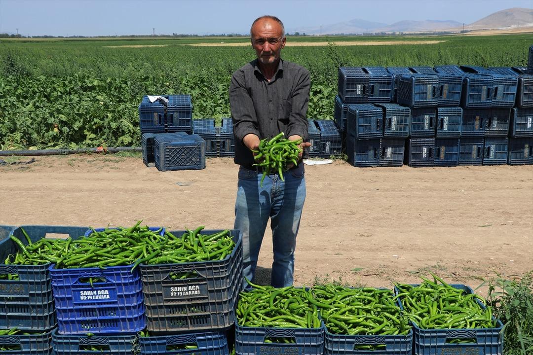  Olmaz  denileni yaptı! Dinlenme tesisinde tanıştığı kişinin tavsiyesiyle başladı, satmadığı yer yok 6
