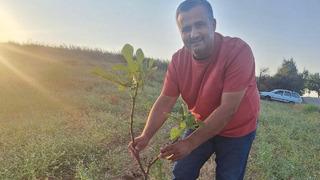 Her yıl artıyor! Üretimi yaygınlaşıyor 'İhracata uygun'